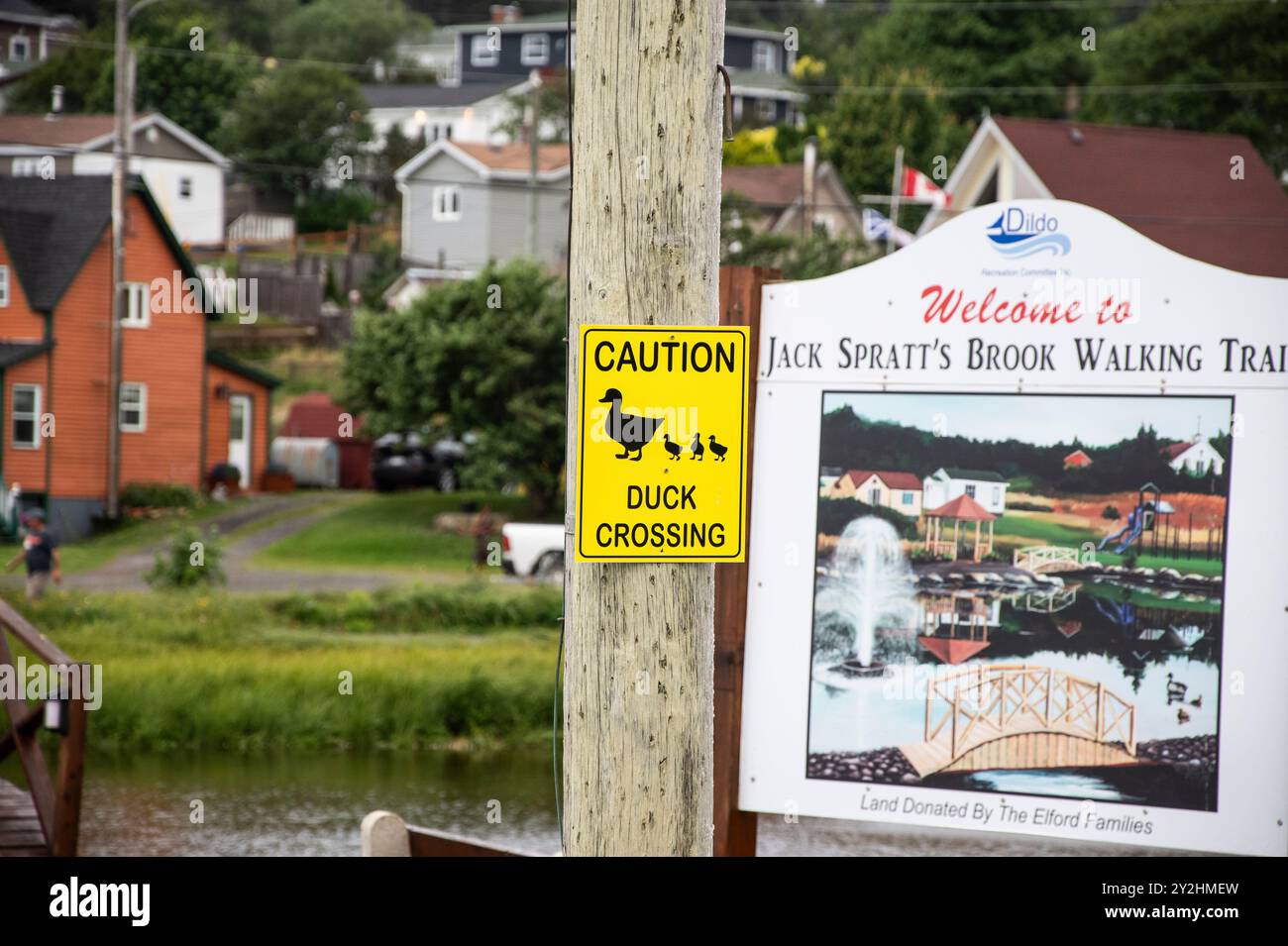 Benvenuto al Jack Spratt's Brook Walking Trail a Dildo, Terranova e Labrador, Canada Foto Stock