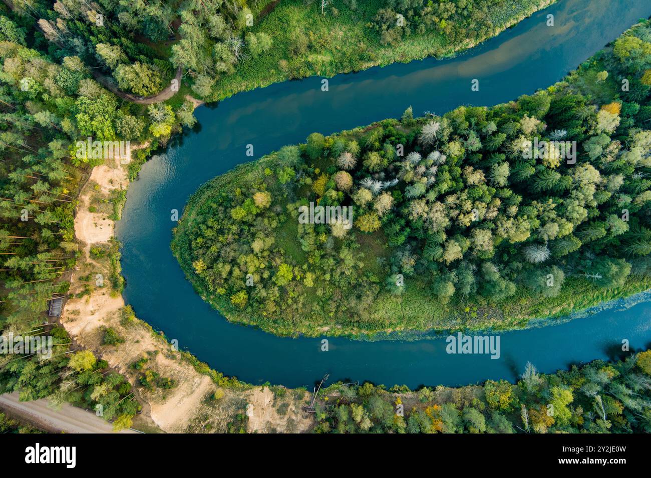 Vista aerea del fiume Sventoji che si snoda attraverso la foresta autunnale. Splendida foresta aerea nei pressi di Anyksciai, Lituania. Alberi verdi e fiume sul soleggiato f Foto Stock