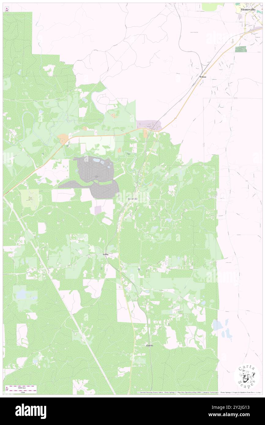 Brierfield, Bibb County, Stati Uniti, Alabama, N 33 2' 20'', S 86 54' 31'', MAP, Cartascapes Map pubblicata nel 2024. Esplora Cartascapes, una mappa che rivela i diversi paesaggi, culture ed ecosistemi della Terra. Viaggia attraverso il tempo e lo spazio, scoprendo l'interconnessione del passato, del presente e del futuro del nostro pianeta. Foto Stock