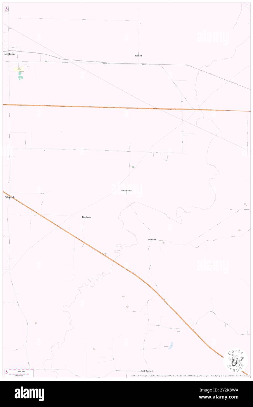 Cottontown, Colbert County, Stati Uniti, Alabama, N 34 39' 19'', S 87 28' 52''', MAP, Cartascapes Map pubblicata nel 2024. Esplora Cartascapes, una mappa che rivela i diversi paesaggi, culture ed ecosistemi della Terra. Viaggia attraverso il tempo e lo spazio, scoprendo l'interconnessione del passato, del presente e del futuro del nostro pianeta. Foto Stock