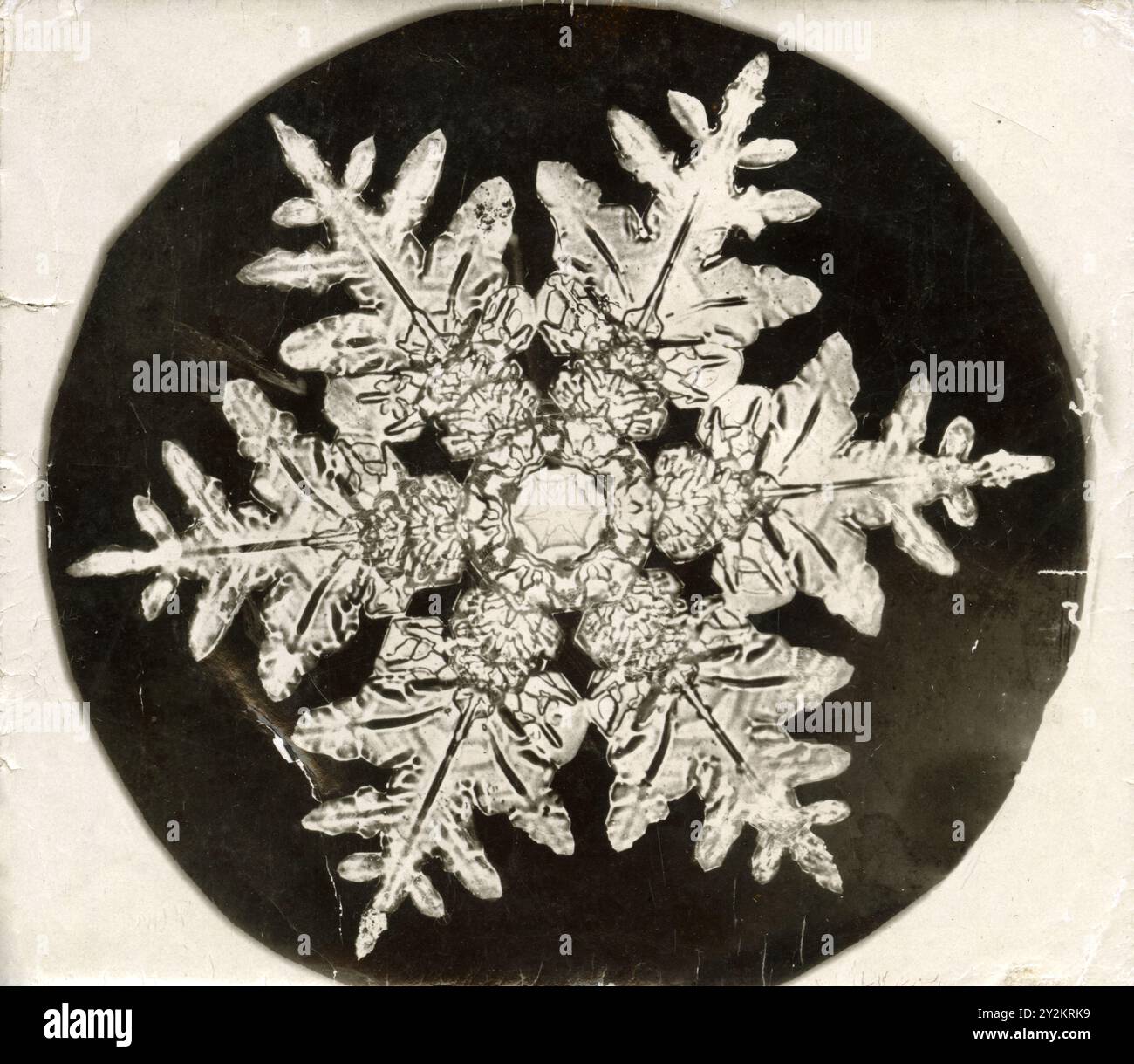 Fotomicrografia di un fiocco di neve creato da Wilson Bentley intorno al 1890 Foto Stock