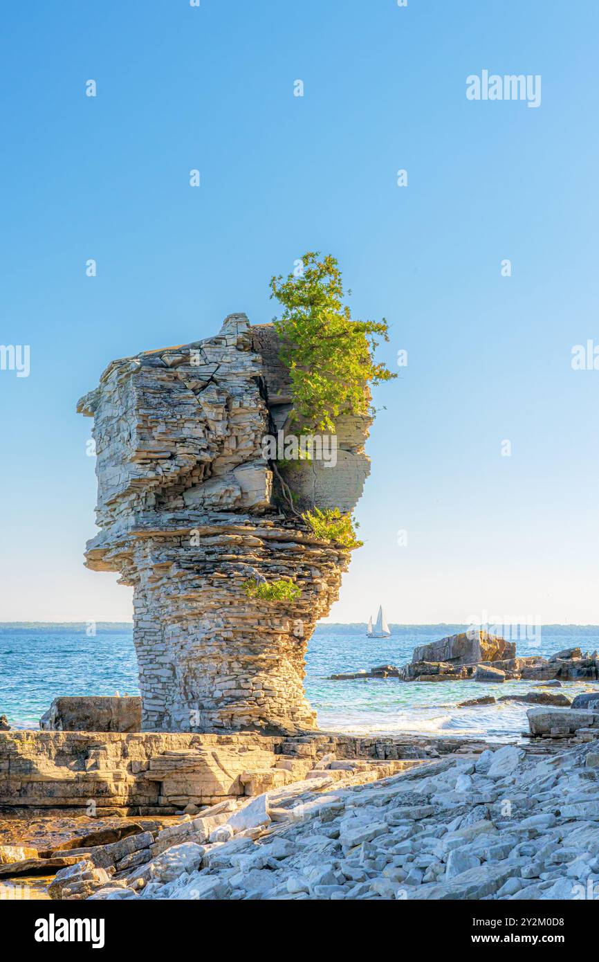 I vasi di fiori sono un tipo di pila di mare, formata nel corso di molti anni come vento, pioggia, onde e ghiaccio si sono erosi sulla scogliera che un tempo sorgeva lungo il wat Foto Stock