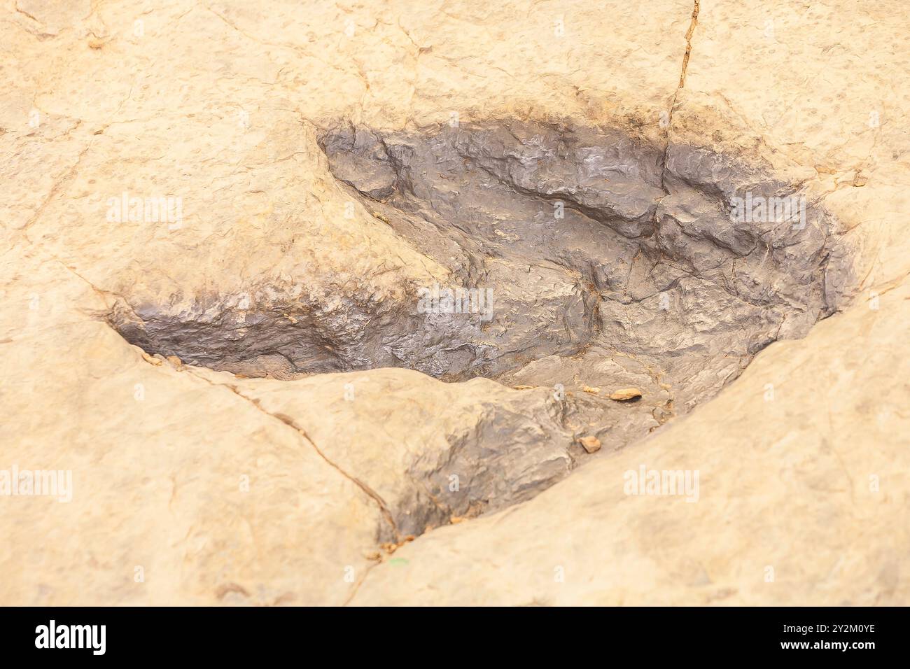 Los Cayos Dinosaur Tracksite. CORNAGO. La Rioja. Spagna. Europa Foto Stock