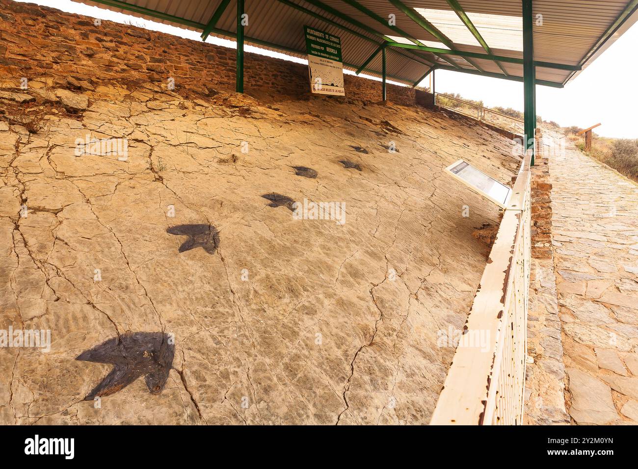 Los Cayos Dinosaur Tracksite. CORNAGO. La Rioja. Spagna. Europa Foto Stock