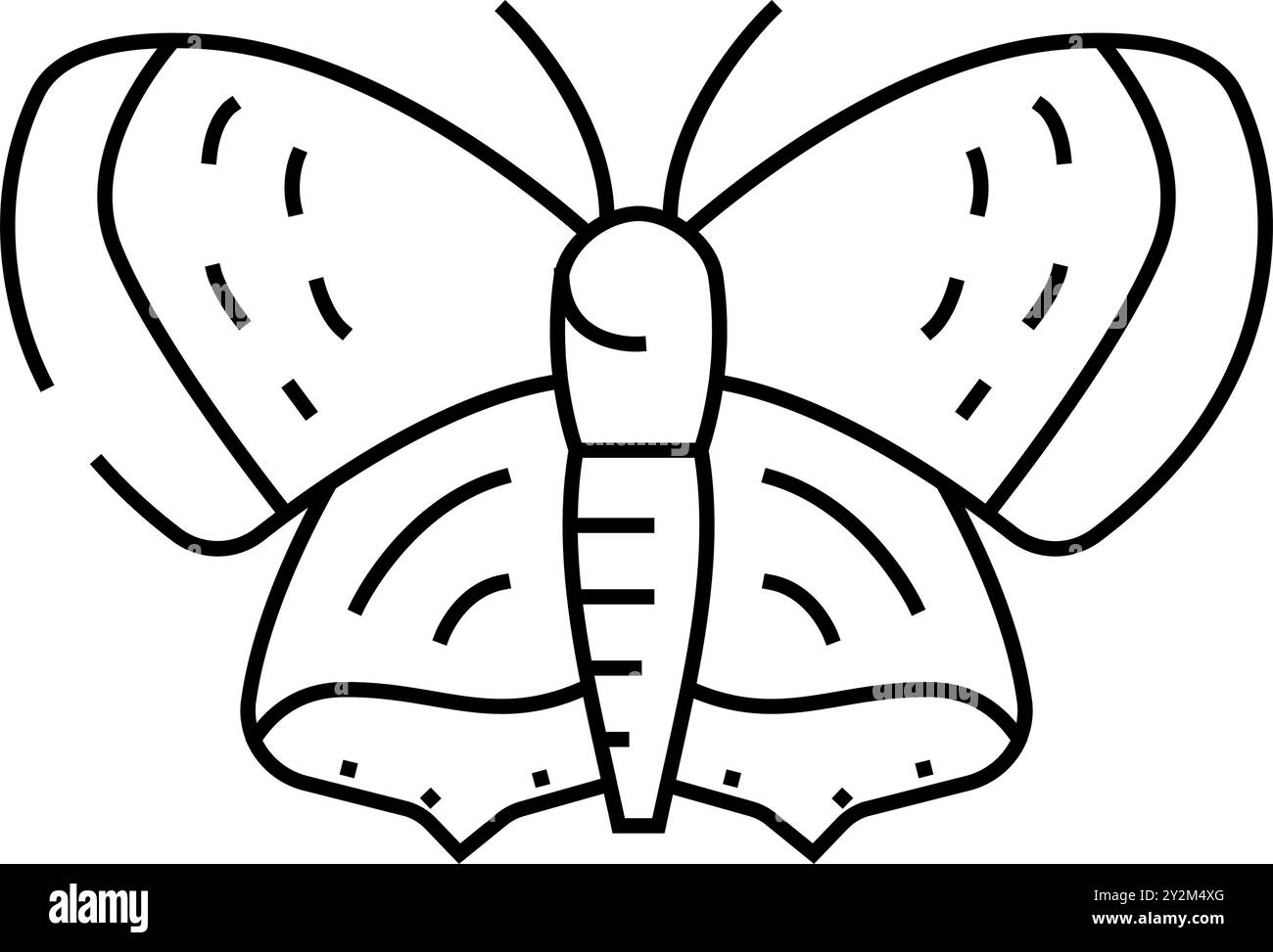 american rame insetto linea icona vettore illustrazione Illustrazione Vettoriale