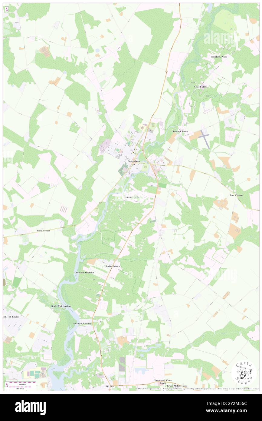 Foxgrape Farm, Caroline County, Stati Uniti, Stati Uniti, Maryland, N 38 57' 46'', S 75 48' 22'', MAP, Cartascapes Map pubblicata nel 2024. Esplora Cartascapes, una mappa che rivela i diversi paesaggi, culture ed ecosistemi della Terra. Viaggia attraverso il tempo e lo spazio, scoprendo l'interconnessione del passato, del presente e del futuro del nostro pianeta. Foto Stock