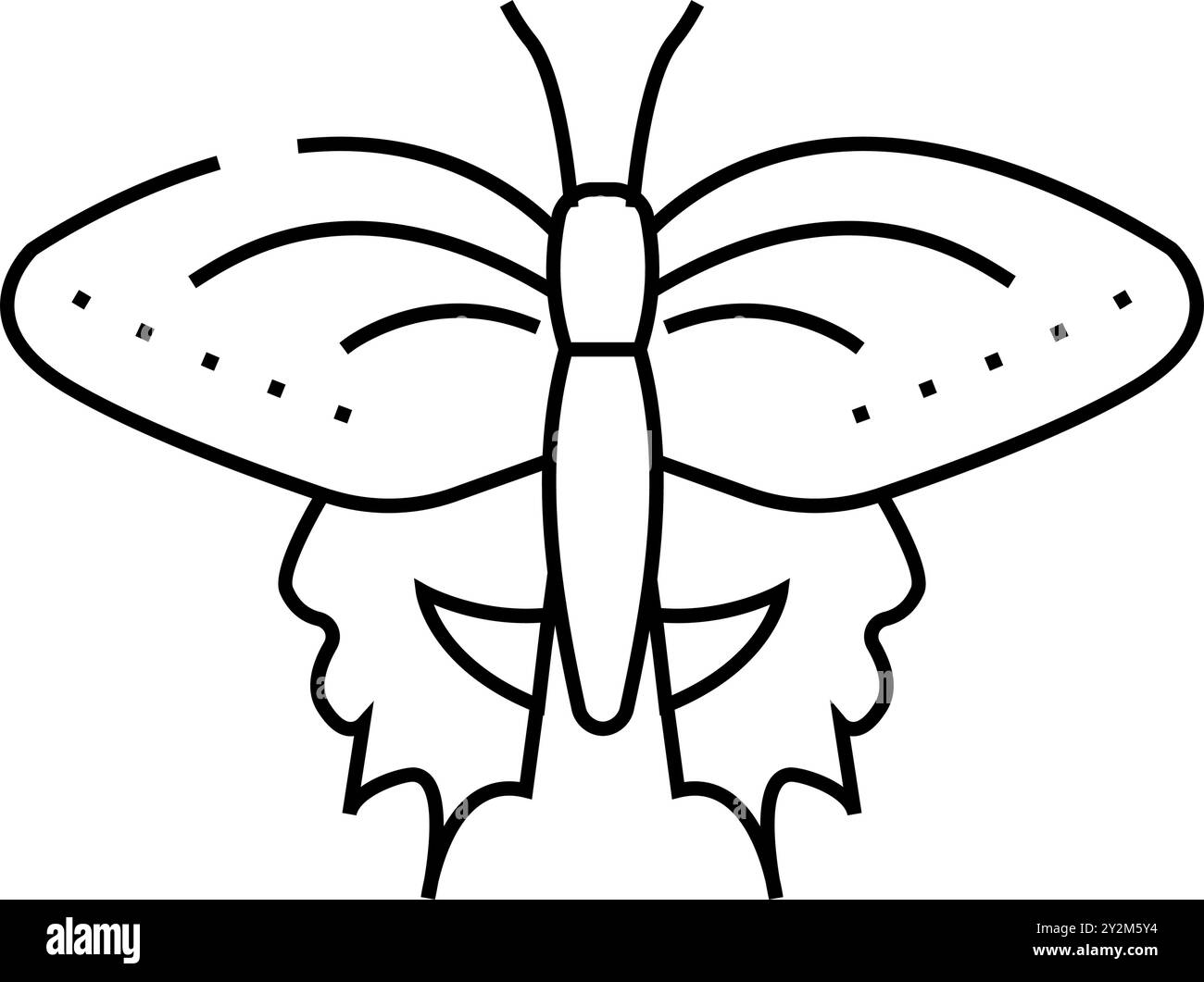 immagine vettoriale dell'icona della linea della molla a coda di rondine nera Illustrazione Vettoriale