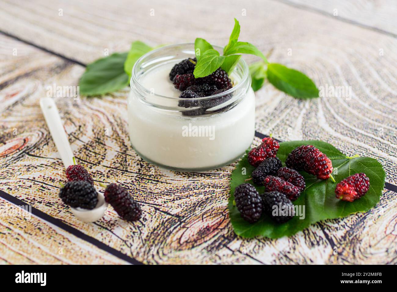 yogurt dolce fatto in casa in un barattolo con gelsi neri . Foto Stock