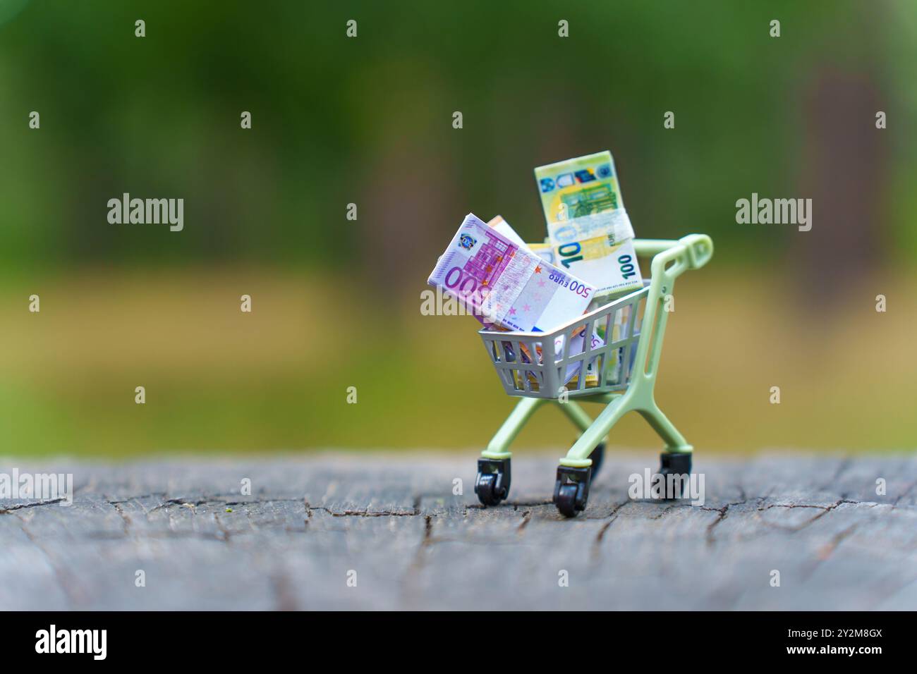 Carrello della spesa in miniatura pieno di banconote in euro, posizionato su una superficie rustica in legno, che simboleggia lo shopping, la valuta e i concetti finanziari in un pla Foto Stock