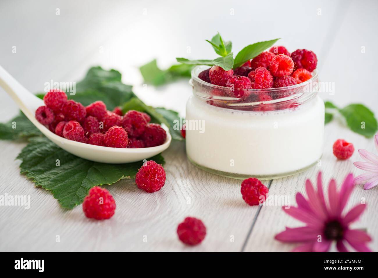 cibo fatto in casa, yogurt al latte con lamponi freschi. Foto Stock