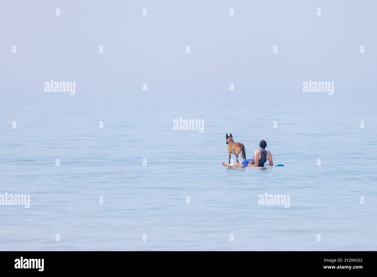 Homme avec son chien sur un paddle, Francia, Pas de Calais, été Foto Stock