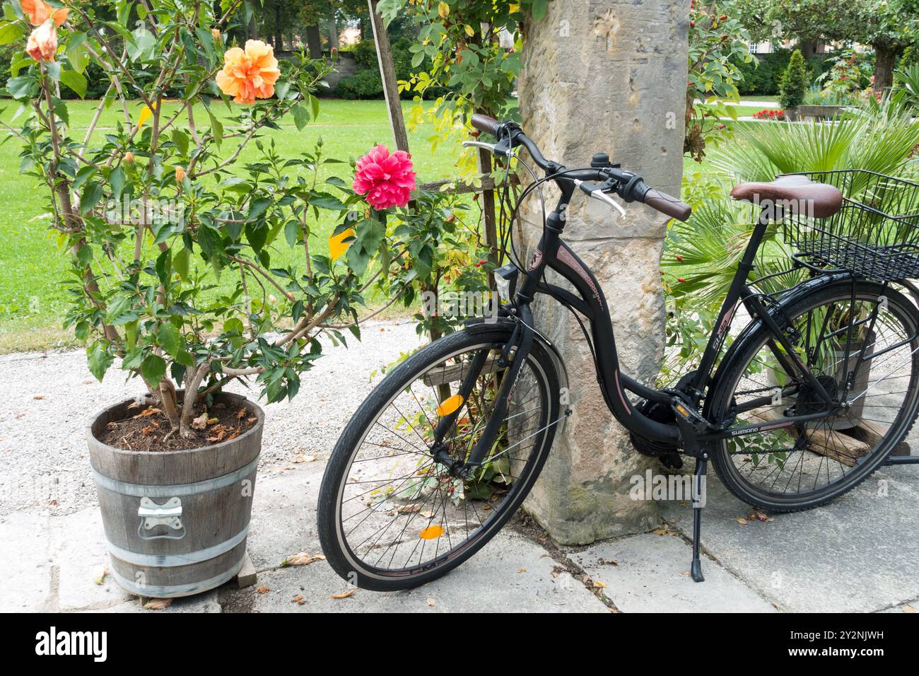 Una bicicletta nera d'epoca è parcheggiata accanto a un ibisco in fiore in un vaso e un pilastro di pietra in un tranquillo giardino Foto Stock