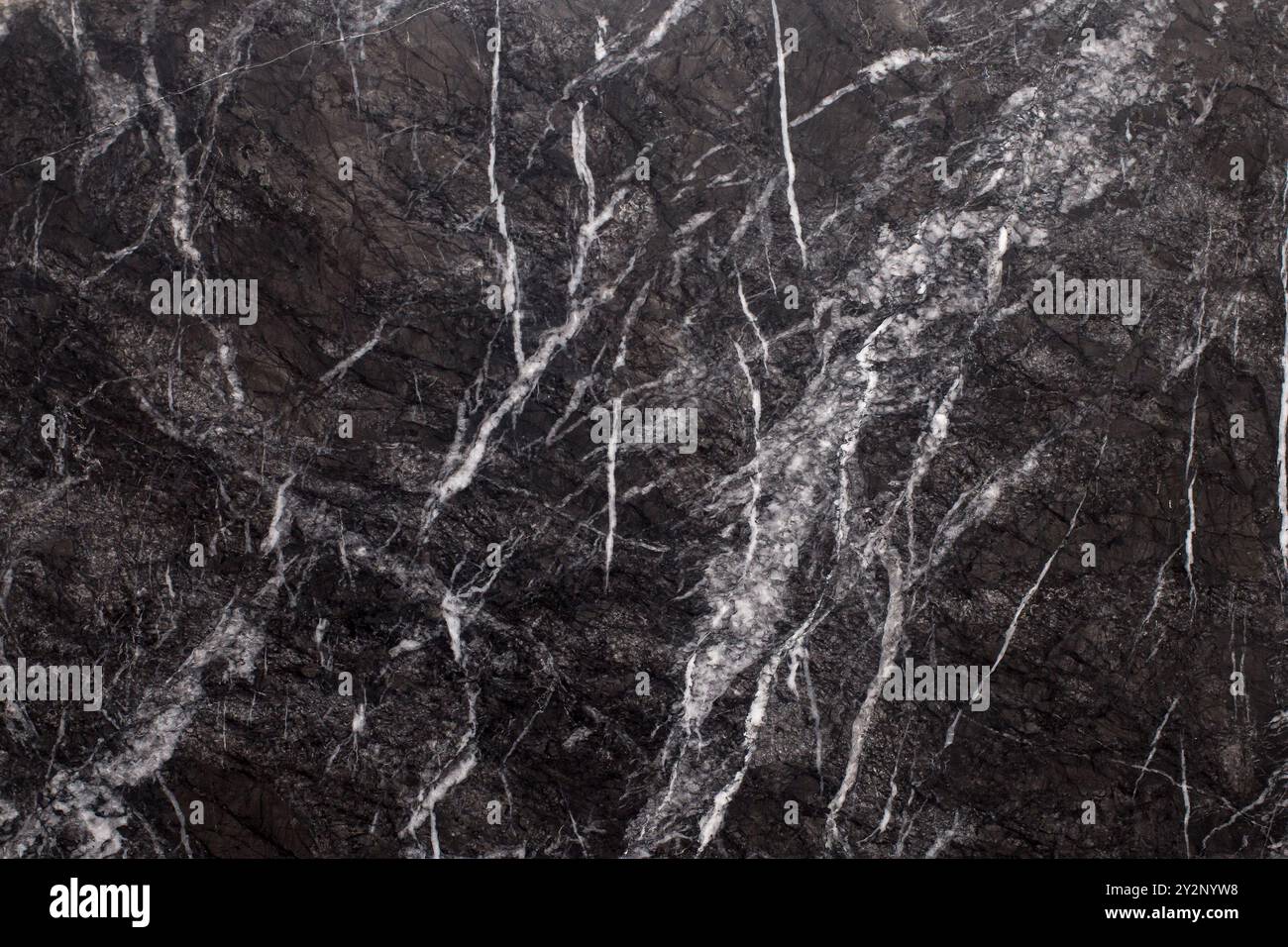 Marmo nero scuro con venature bianche a contrasto: Design in pietra di lusso Foto Stock