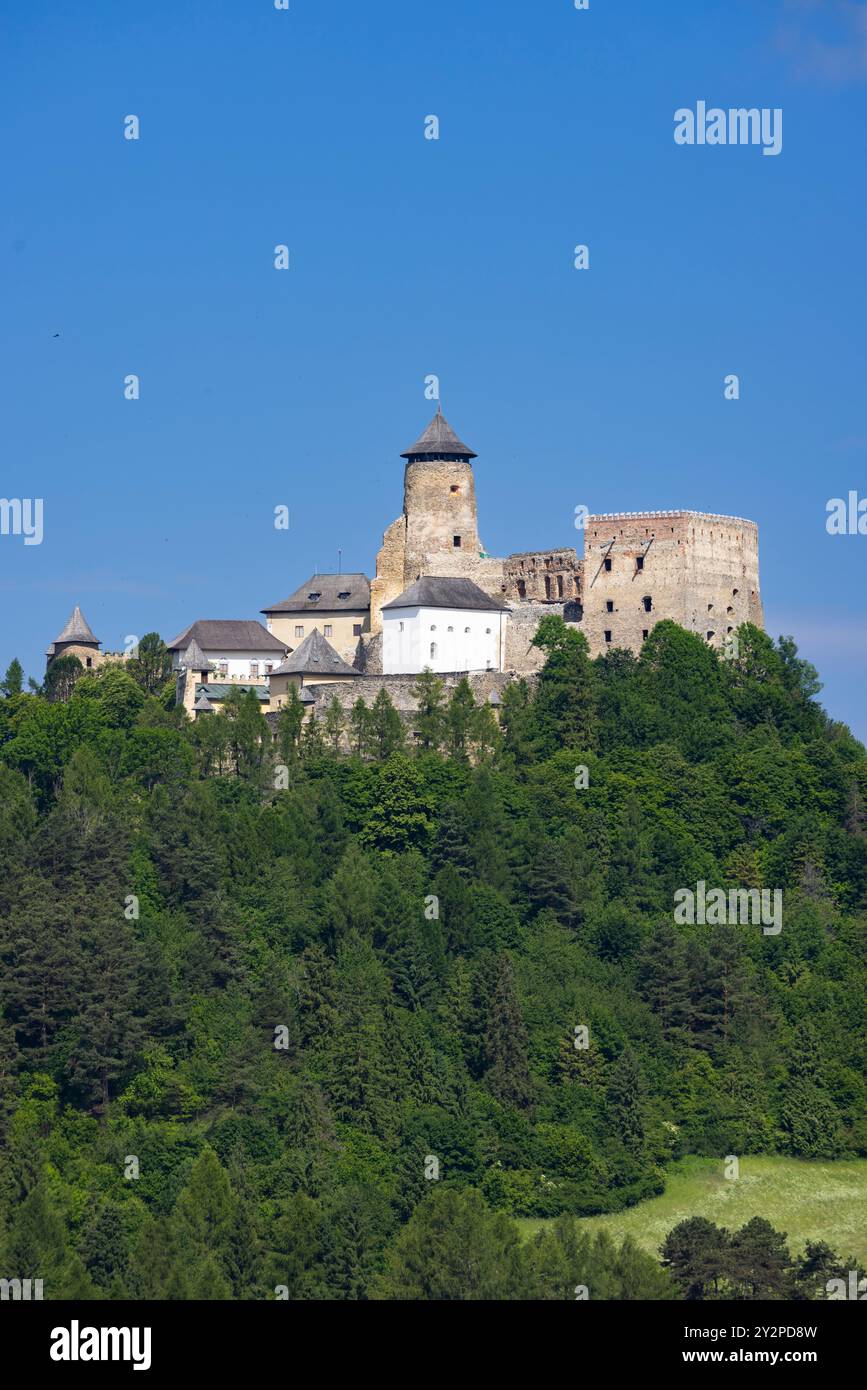 Castello di Stara Lubovna, regione di Presov, Slovacchia Foto Stock