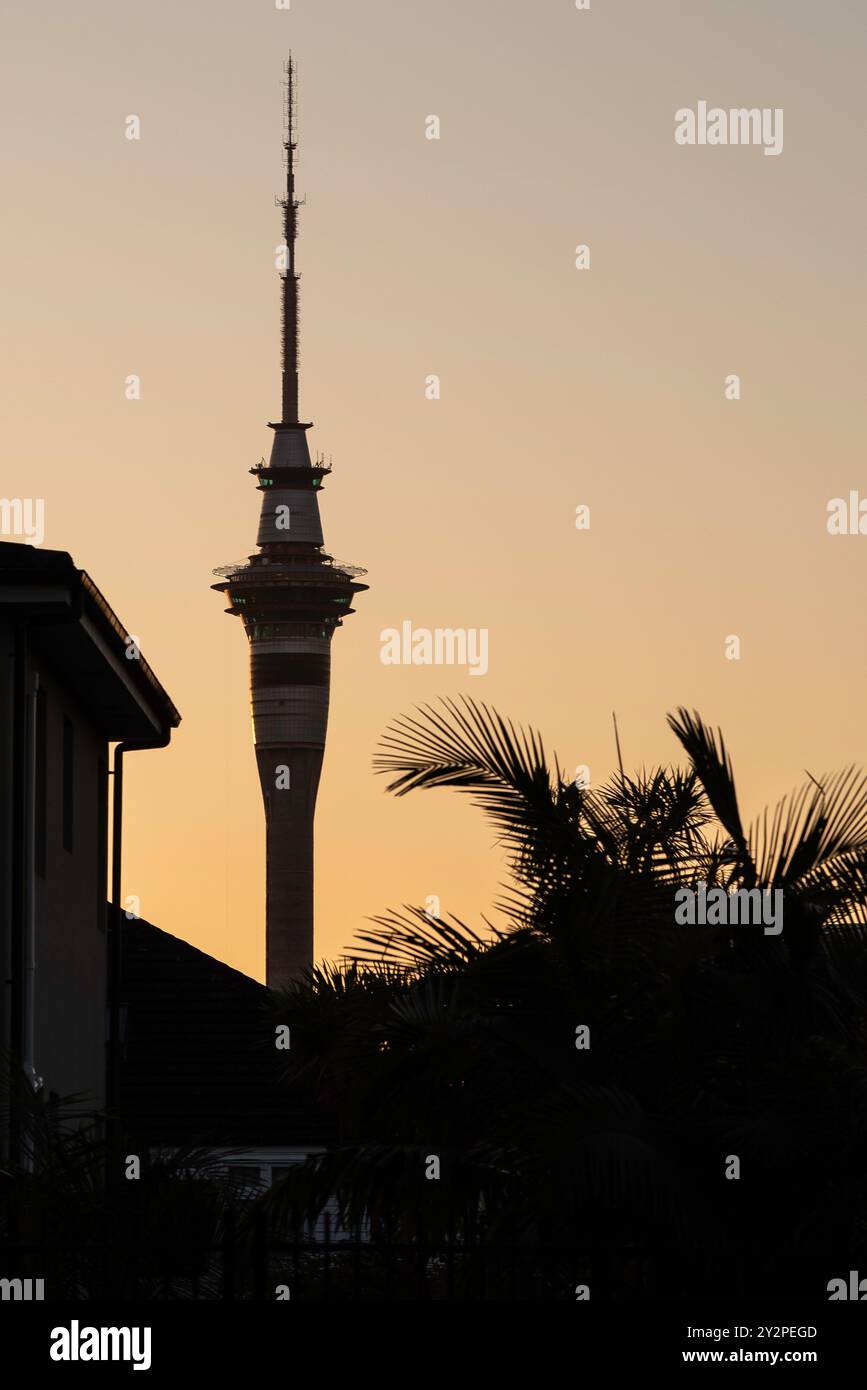 Un'ora d'oro della Sky Tower di Auckland, nuova Zelanda, che guarda dal sobborgo di Ponsonby Foto Stock