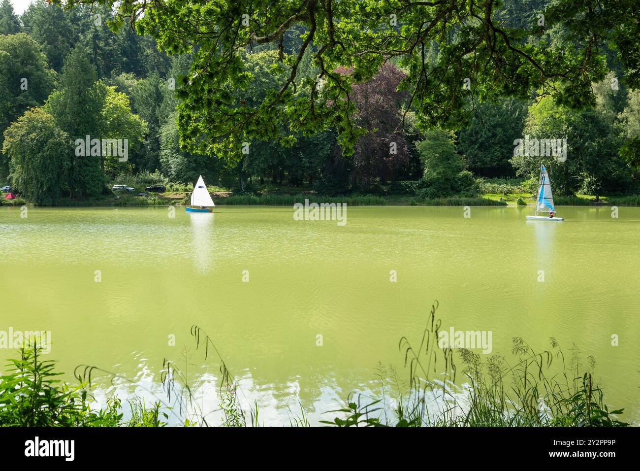 Shearwater (Shear Water) è un lago artificiale di acqua dolce vicino al villaggio di Crockerton nel Wiltshire, in Inghilterra Foto Stock