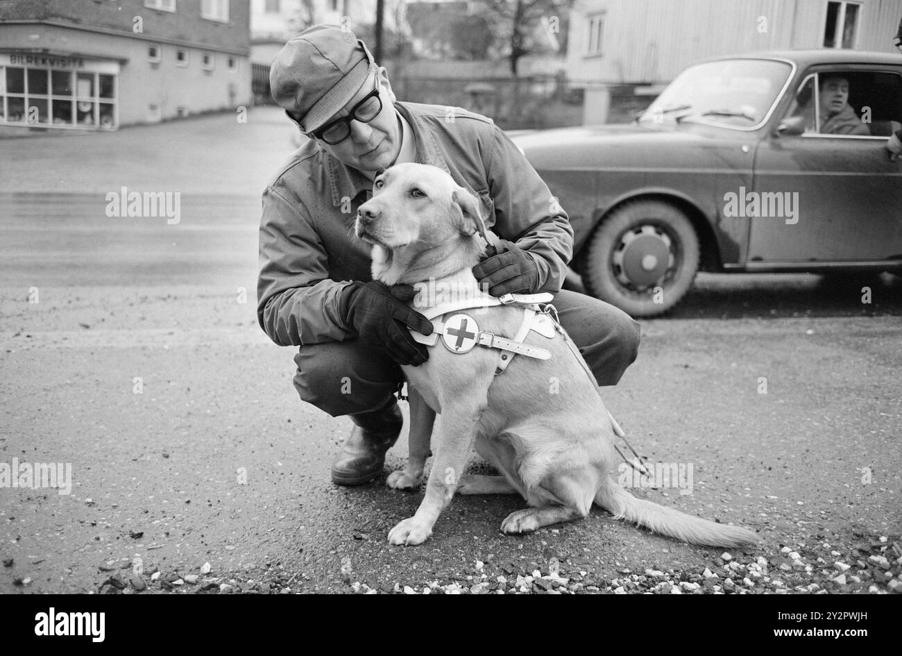 Attuale 50-7-1970 : Una scuola per i ciechi e il suo cane. La Federazione norvegese dei ciechi ha acquistato una proprietà più grande a Østfold e vi ha allestito una scuola di cani guida, che d'ora in poi addestrerà circa trenta cani guida per i ciechi ogni anno. Finn Tunsli da Oslo con Runa. I cani guida ricevono una formazione sul traffico, cioè devono segnare per l'autista quando un'auto vuole attraversare l'attraversamento pedonale. Foto: Ivar Aaserud / Aktuell / NTB ***la foto non è elaborata*** questo testo dell'immagine è tradotto automaticamente questo testo dell'immagine è tradotto automaticamente Foto Stock