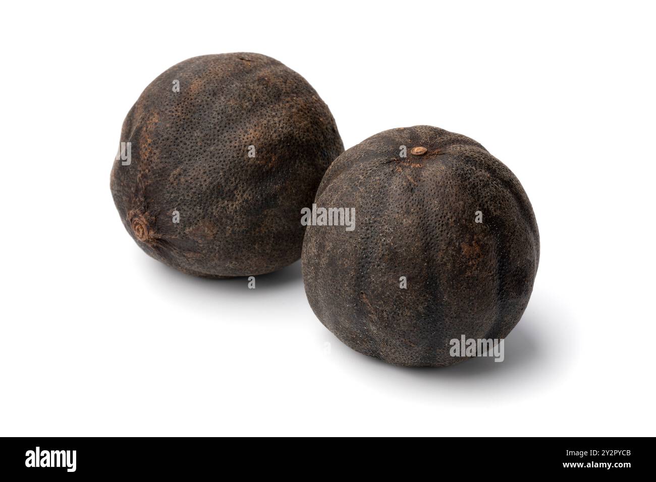 Coppia di limes neri secchi, loomi, isolati su sfondo bianco da vicino Foto Stock