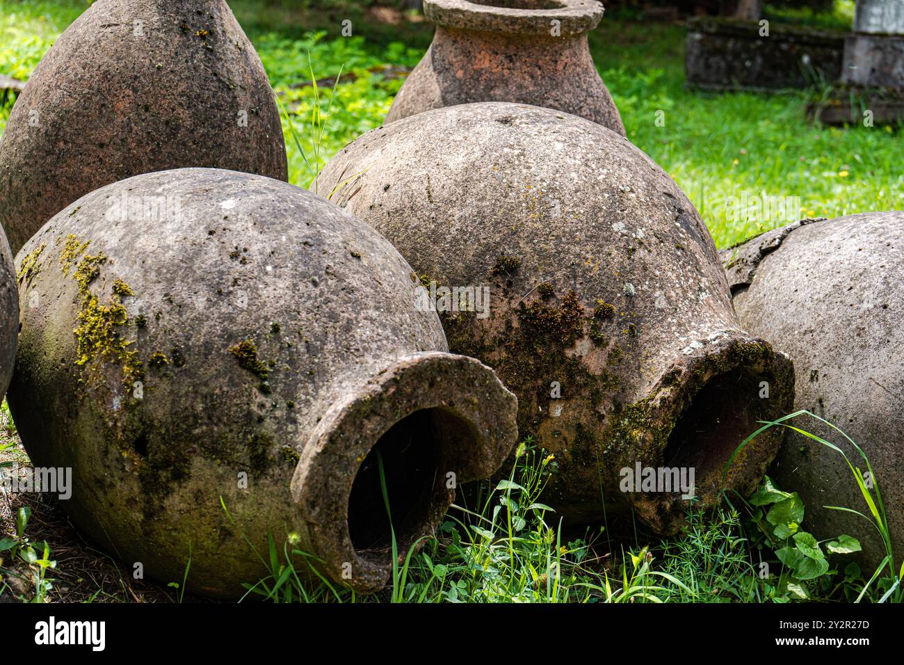 Questa foto cattura i vasi di argilla Qvevri invecchiati sparsi nell'erba lussureggiante presso le rovine della storica Ikalto Academy in Georgia, illustrando l'antica W Foto Stock