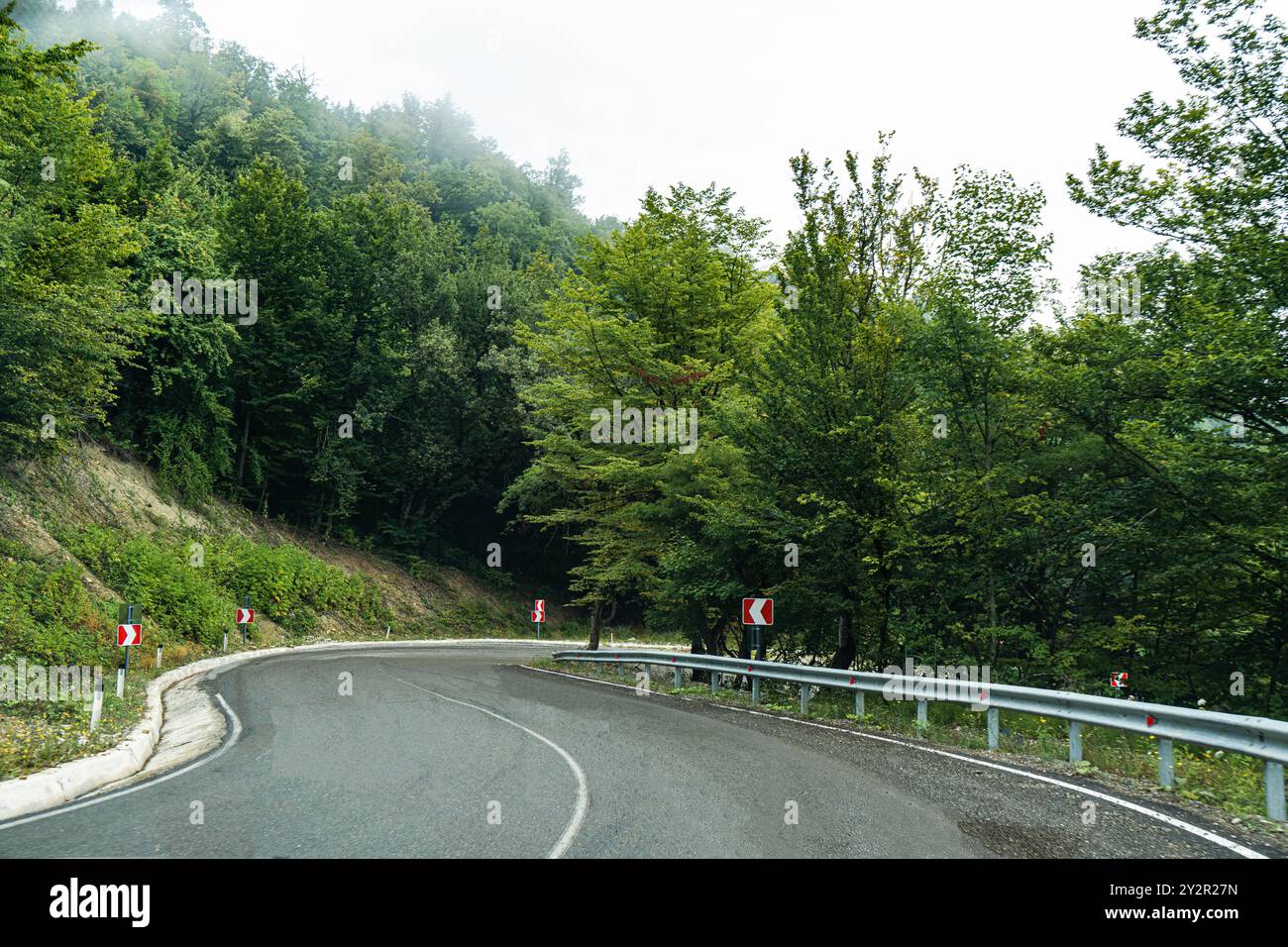 Una strada panoramica tortuosa da Cartalia a Kakheti, fiancheggiata da lussureggianti foreste verdi sotto un cielo coperto nelle montagne del Caucaso in Georgia, che mostra il Foto Stock