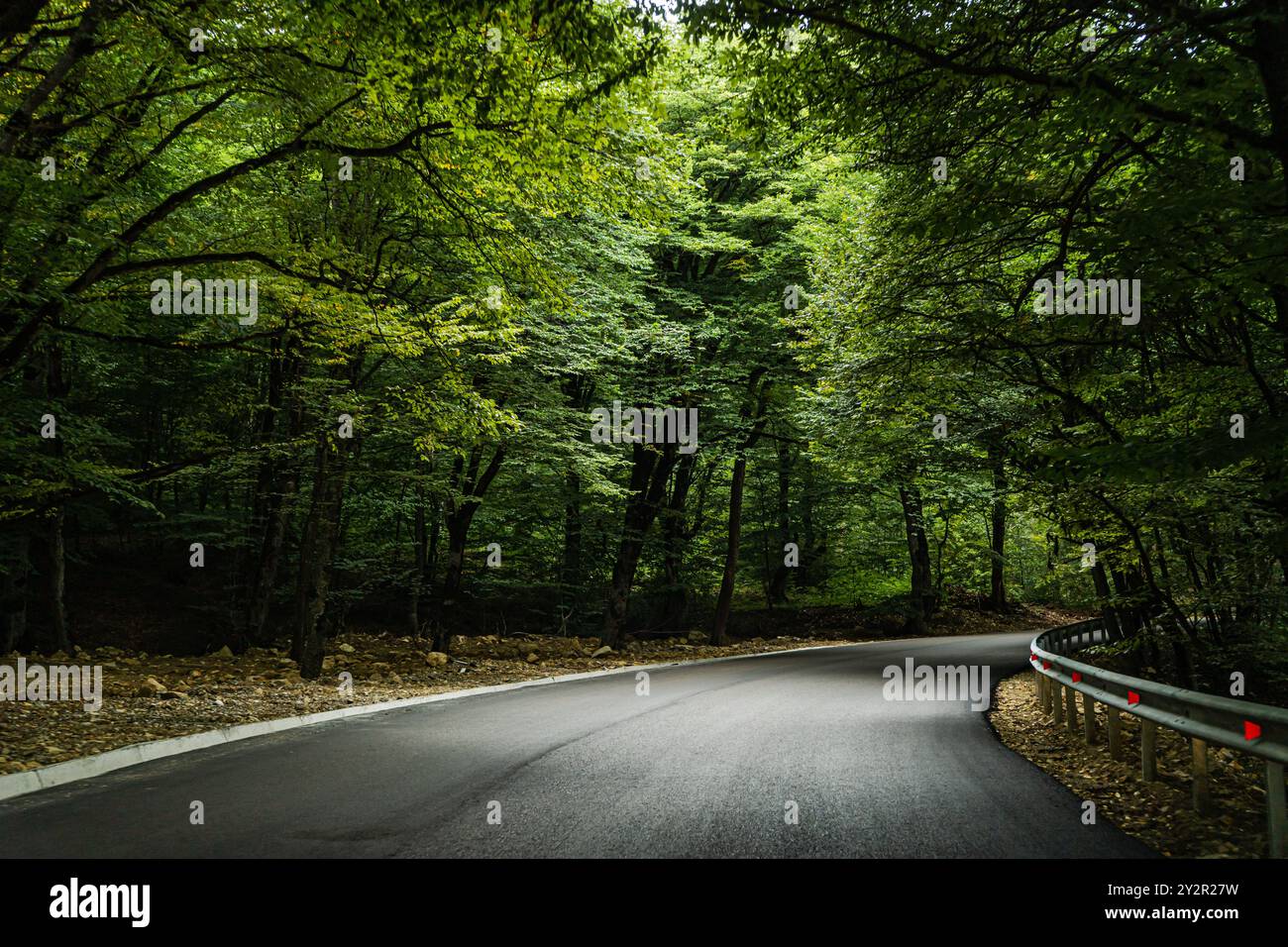 Una strada tranquilla da Kartli a Kakheti, si snoda attraverso una lussureggiante area boscosa nelle montagne del Caucaso in Georgia, che sfoggia una vivace folia verde Foto Stock