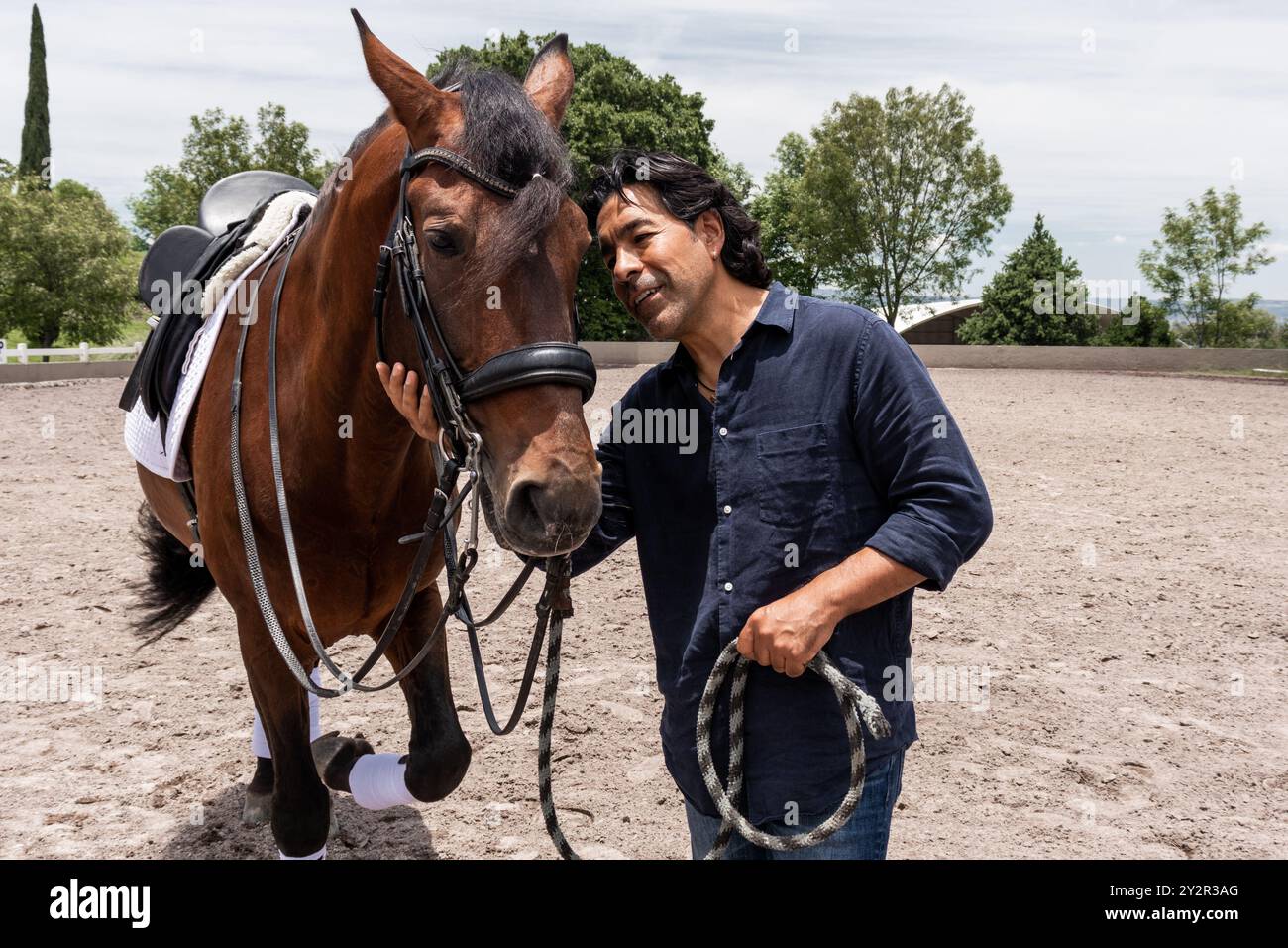 Uno sposo tende dolcemente a un cavallo marrone dotato di equipaggiamento da equitazione in un'arena sabbiosa. L'ambiente riflette un sereno legame tra uomo e animale in mezzo a lu Foto Stock