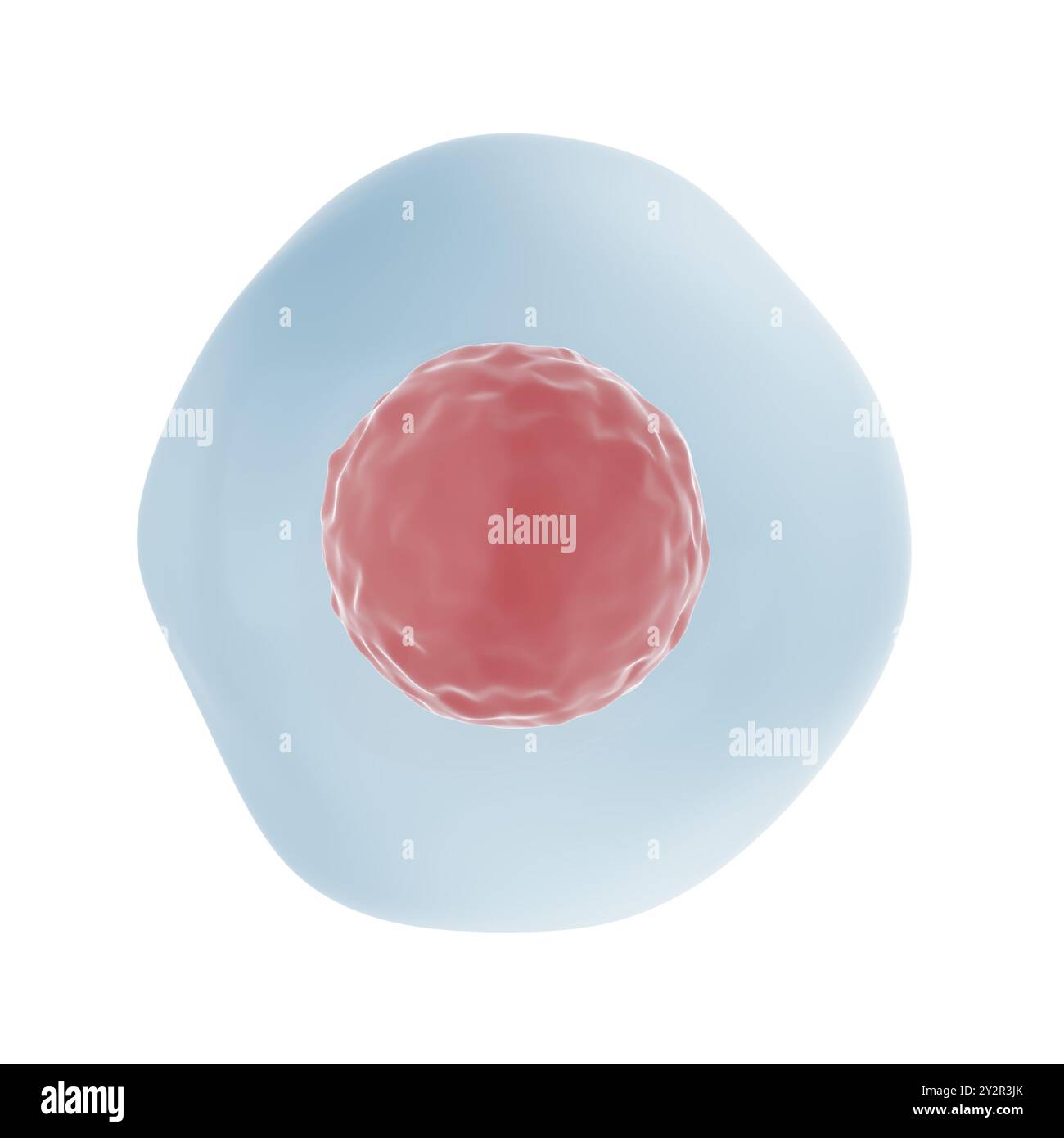 Cellula umana. Isolato. illustrazione 3d. Foto Stock