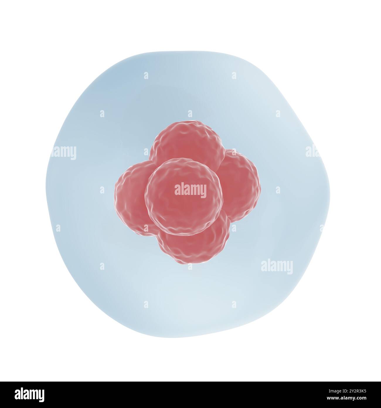 Cellula umana. Isolato. illustrazione 3d. Foto Stock