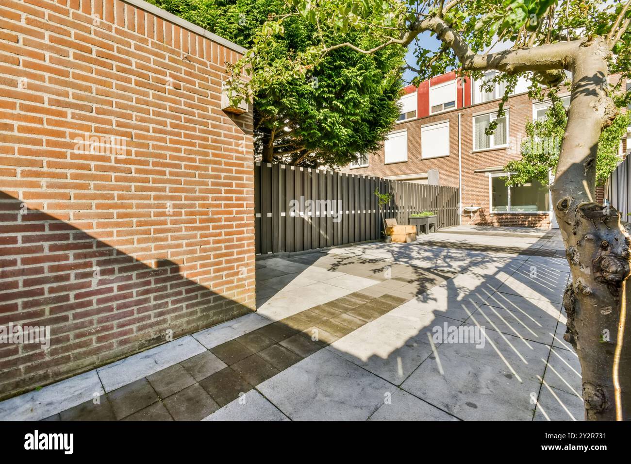 Patio urbano illuminato dal sole con piastrelle a scacchi e un muro di mattoni, ombreggiato da un albero frondoso. Foto Stock