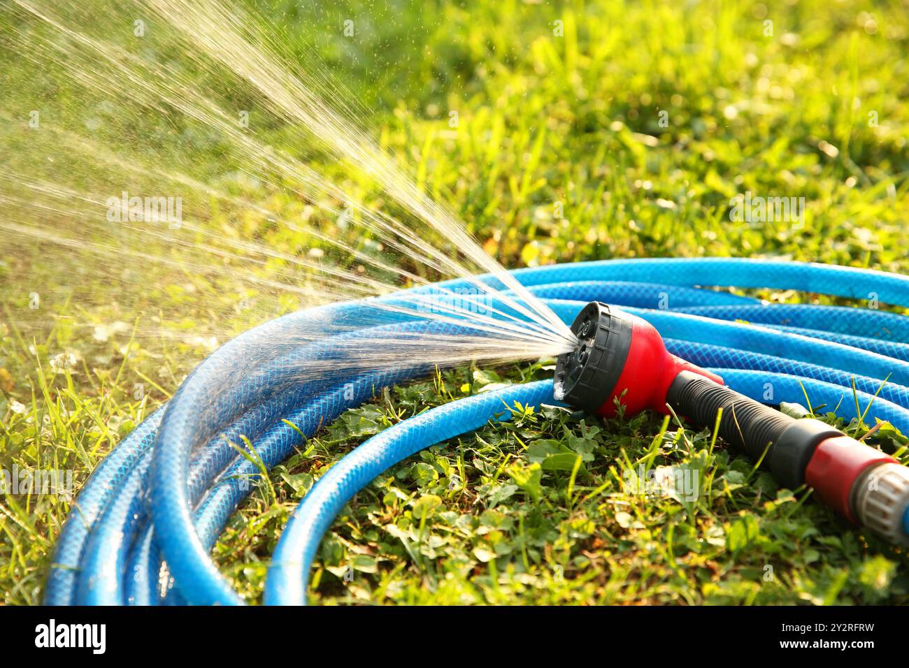 Spruzzi d'acqua dal tubo sull'erba verde all'aperto Foto Stock