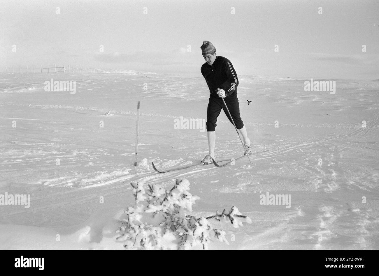 Effettivo 52-1-1971: Sta lottando per un posto olimpico. Dopo il WC nel 1966, Gjermund Eggen è stato proclamato il nostro nuovo re dello sci. Vinse tre medaglie d'oro e fu immediatamente rinominato Principe di Engerdal. Alcuni pensano che da allora non abbia rispettato. Quest'anno è un anno olimpico, e Gjermund Eggen è nella sua ultima stagione. Foto: Ivar Aaserud / Aktuell / NTB ***FOTO NON ELABORATA*** questo testo dell'immagine è tradotto automaticamente Foto Stock