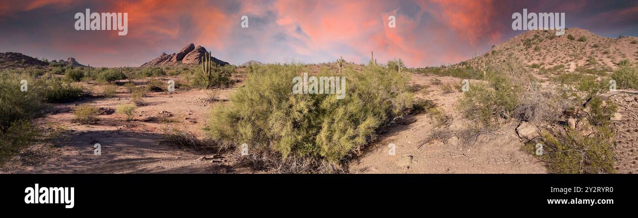 Sunset, Papago Park, Sonoran Desert, Arizona Foto Stock