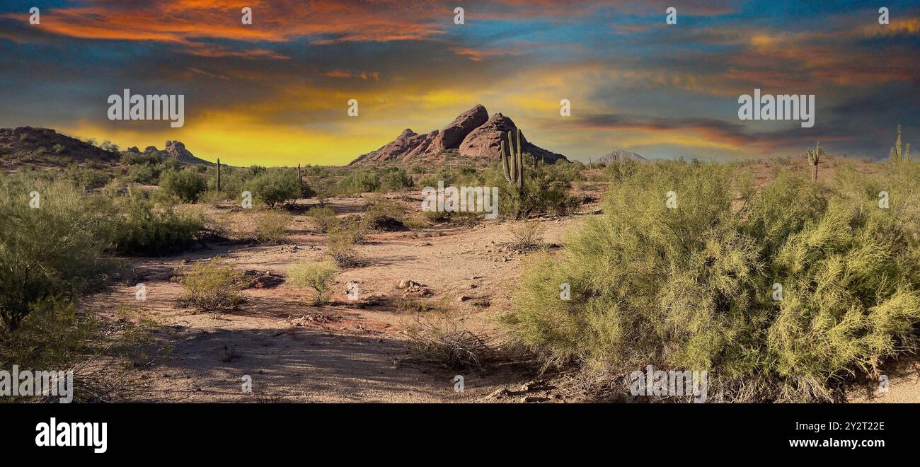 Sunset, Papago Park, Sonoran Desert, Arizona Foto Stock