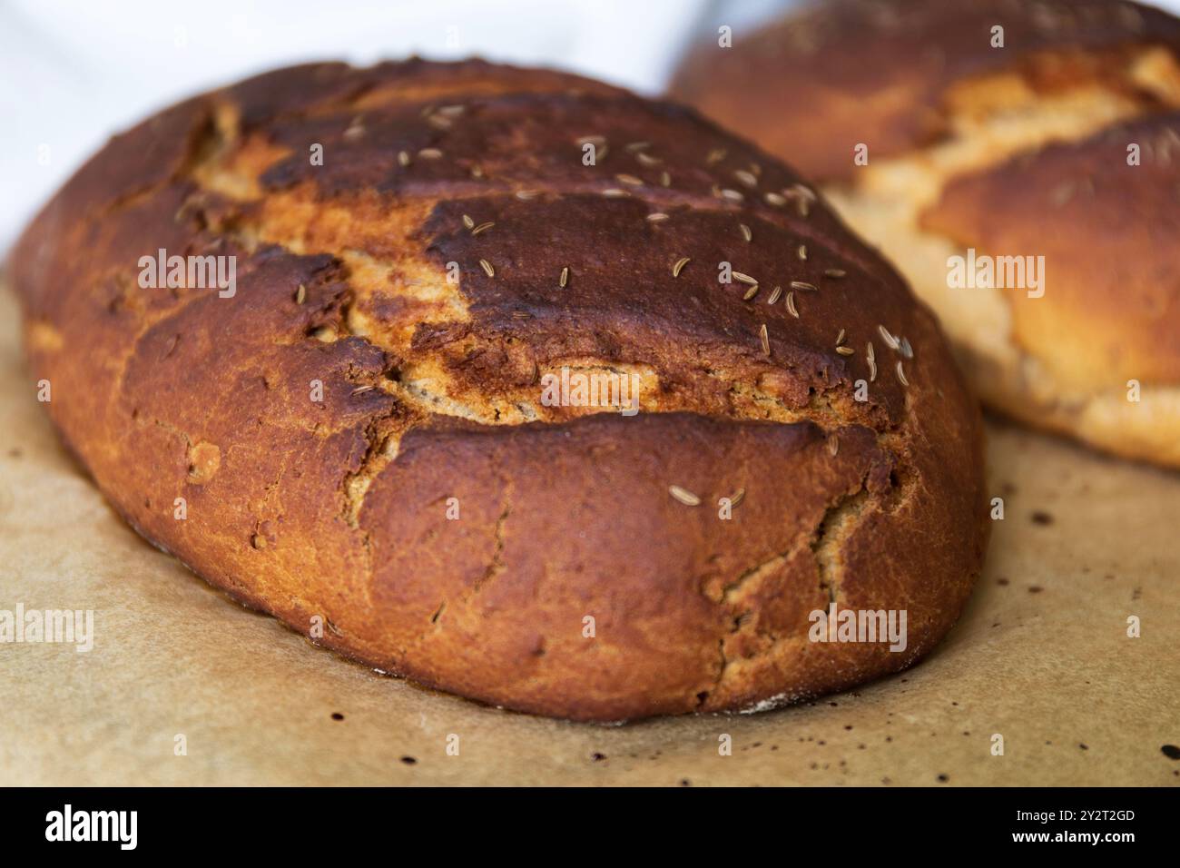 foto ravvicinate di due fette di pane di segale appena sfornate su una carta da forno parzialmente ricoperte da un asciugamano da cucina bianco alla luce del giorno Foto Stock