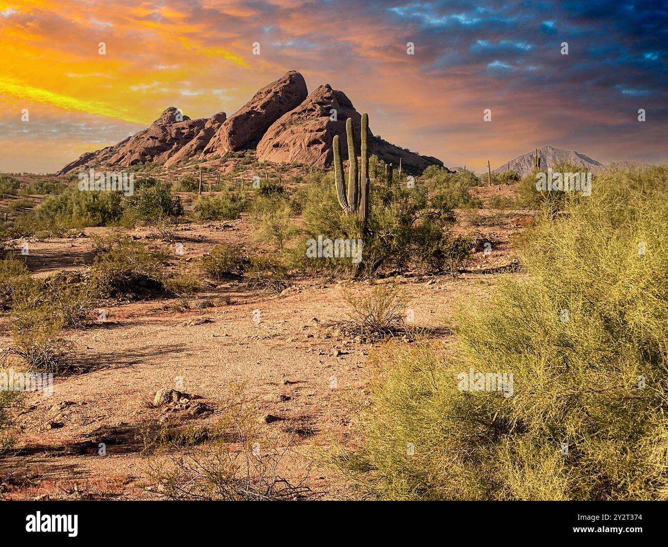 Sunset, Papago Park, Sonoran Desert, Arizona Foto Stock