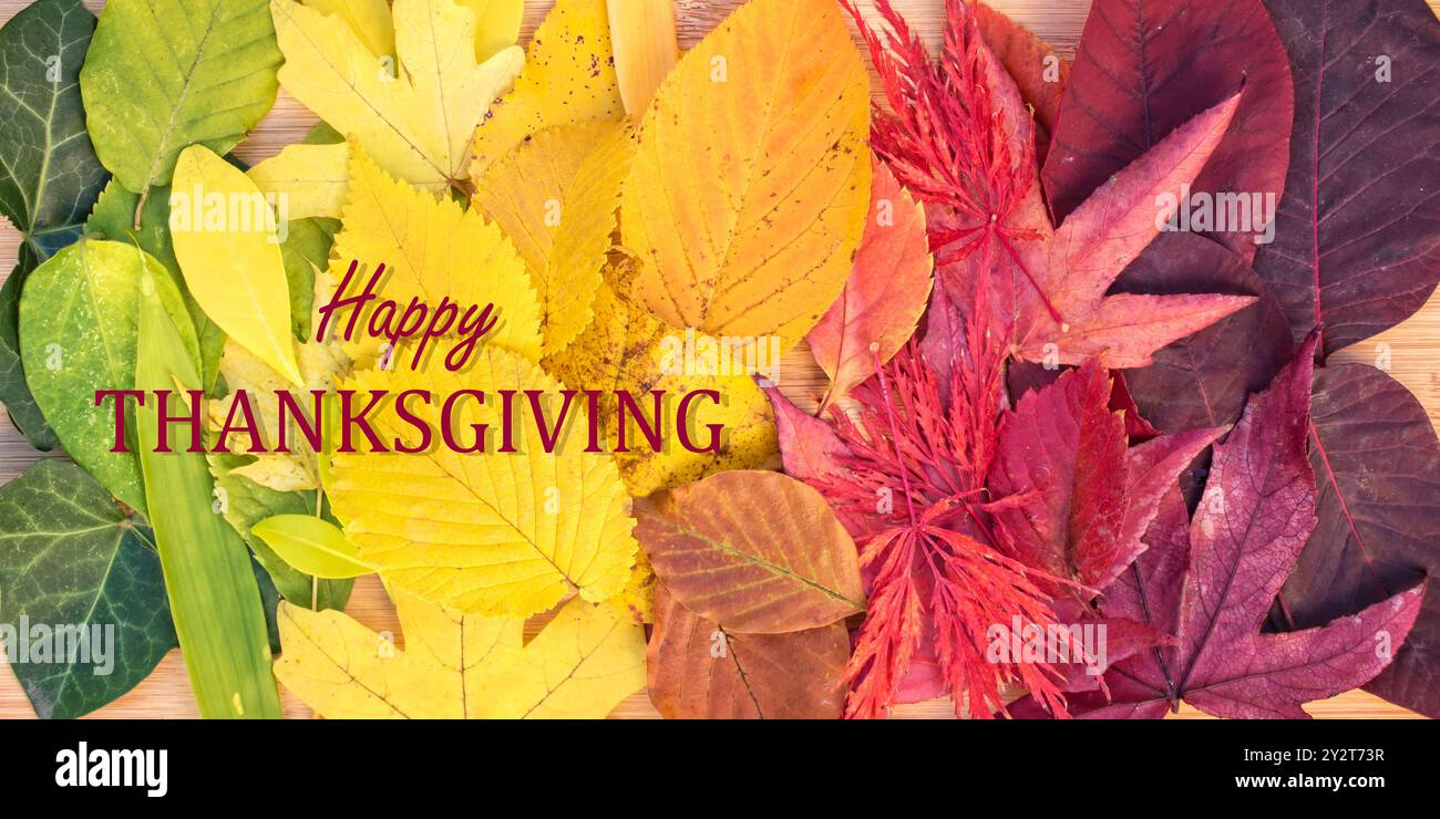 Text Happy Thanksgiving, sfondo di arcobaleno di colorate foglie autunnali in autunno Foto Stock