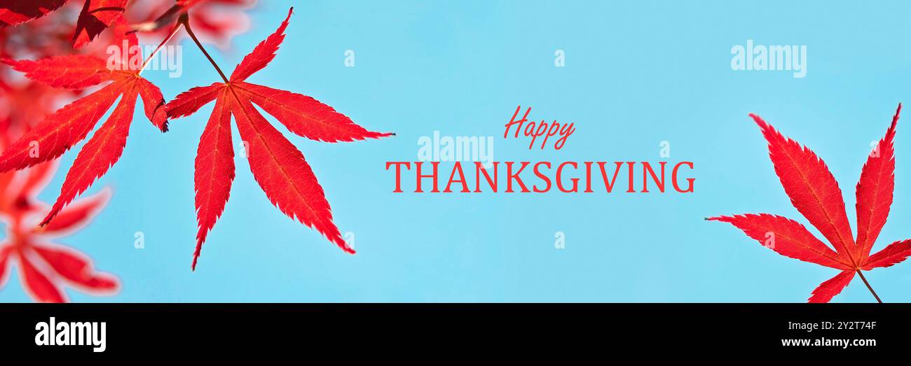 Text Happy Thanksgiving, banner Web con foglie d'acero rosso, sfondo blu, intestazione canadese o statunitense per il giorno del Ringraziamento Foto Stock