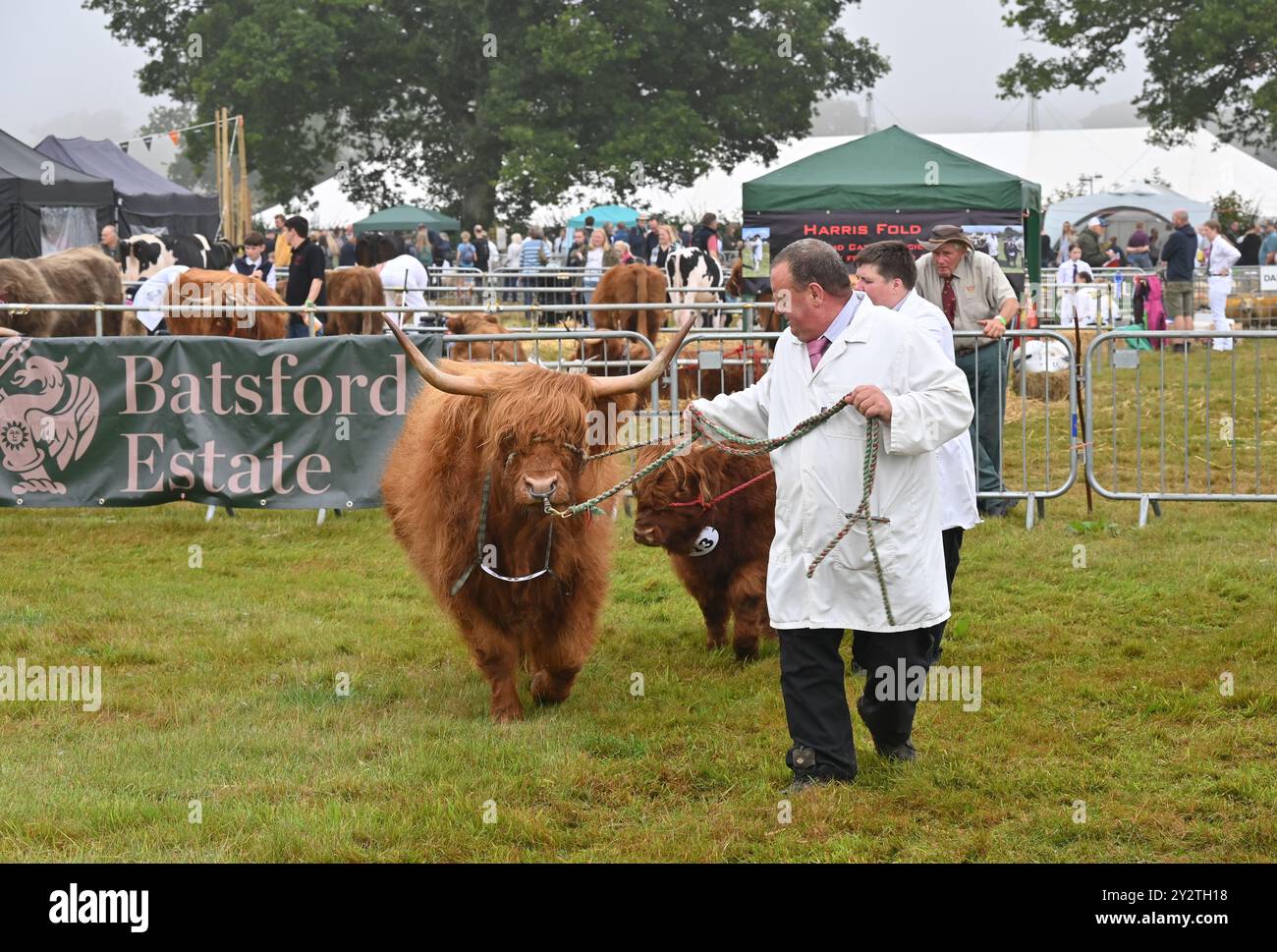 Il bestiame delle Highland giudica al Moreton in Marsh Show del 2024, Gloucestershire Foto Stock