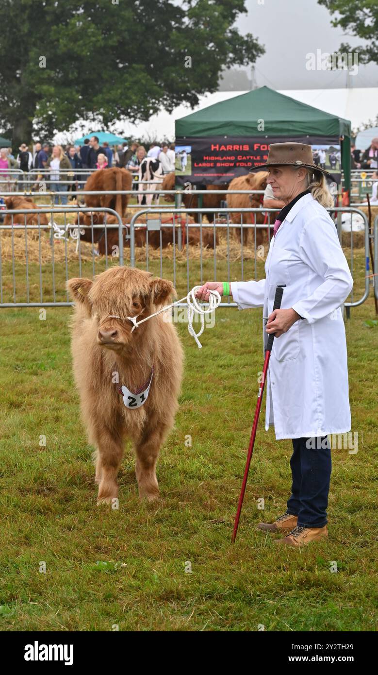 Il bestiame delle Highland giudica al Moreton in Marsh Show del 2024, Gloucestershire Foto Stock