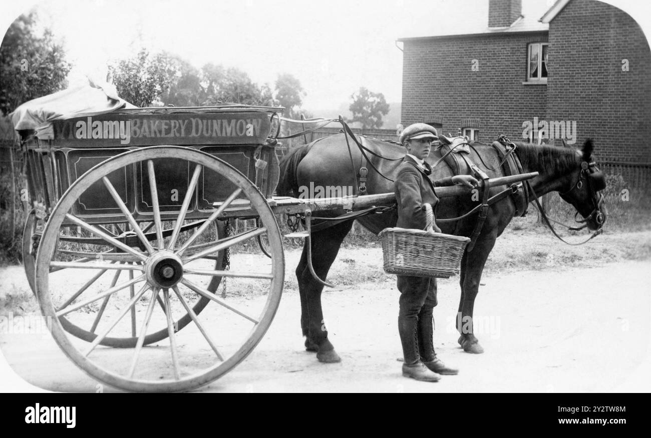 Dissetante di pane dalla Victoria Bakery a Great Dunmow, Essex. Fattorino con cesto da vivere Hovis. Cavallo e carrello Foto Stock