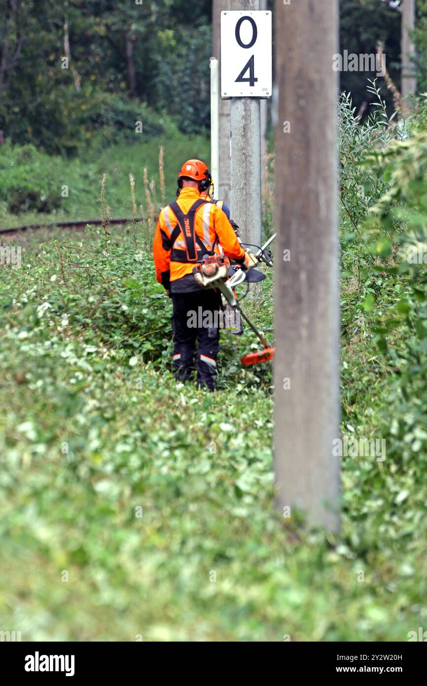 Sicherheitspertinante Maßnahmen im Bahnbetrieb Vegetationsrückschnitt an Gleisanlagen zur Verkehrssicherung im Bahnbetrieb *** misure di sicurezza nelle operazioni ferroviarie taglio della vegetazione sui sistemi di binario per la sicurezza del traffico nelle operazioni ferroviarie Foto Stock