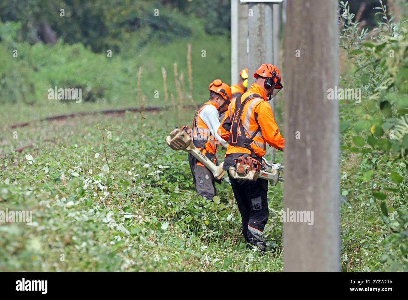 Sicherheitspertinante Maßnahmen im Bahnbetrieb Vegetationsrückschnitt an Gleisanlagen zur Verkehrssicherung im Bahnbetrieb *** misure di sicurezza nelle operazioni ferroviarie taglio della vegetazione sui sistemi di binario per la sicurezza del traffico nelle operazioni ferroviarie Foto Stock