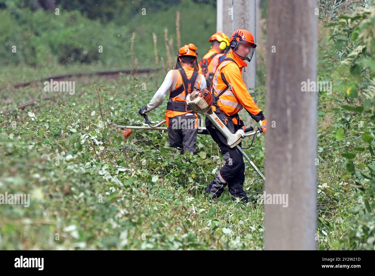Sicherheitspertinante Maßnahmen im Bahnbetrieb Vegetationsrückschnitt an Gleisanlagen zur Verkehrssicherung im Bahnbetrieb *** misure di sicurezza nelle operazioni ferroviarie taglio della vegetazione sui sistemi di binario per la sicurezza del traffico nelle operazioni ferroviarie Foto Stock