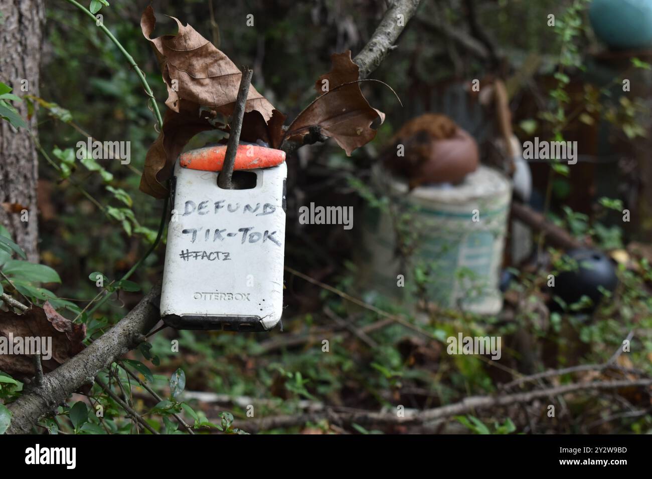 Custodia per telefono Sharpied appesa su una filiale presso Doll's Head Trail di Atlanta, Georgia - "Defund Tik-Tok" Foto Stock