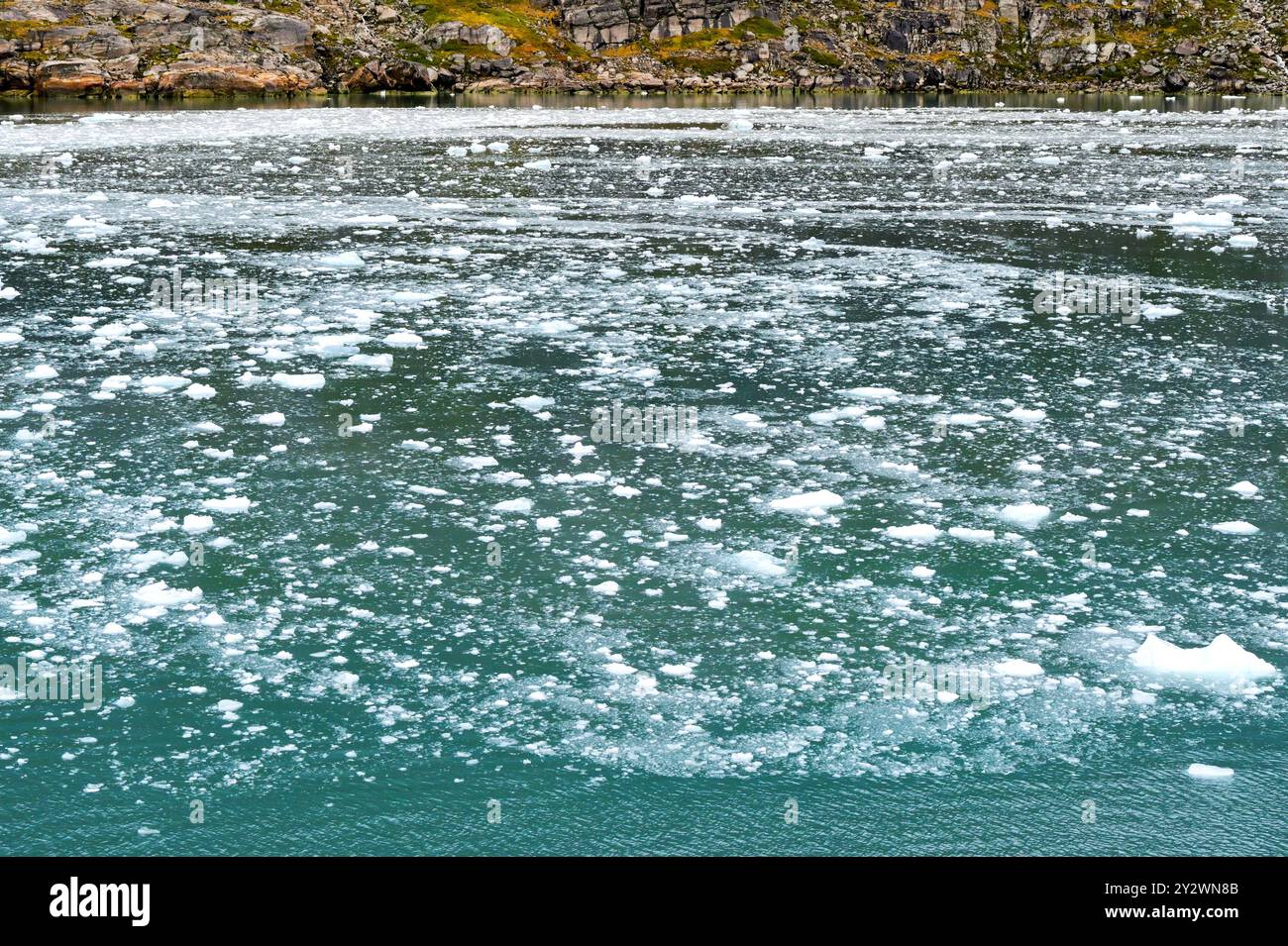 Pavimento di ghiaccio con pezzi di ghiaccio provenienti da un ghiacciaio che galleggia in un fiordo Foto Stock