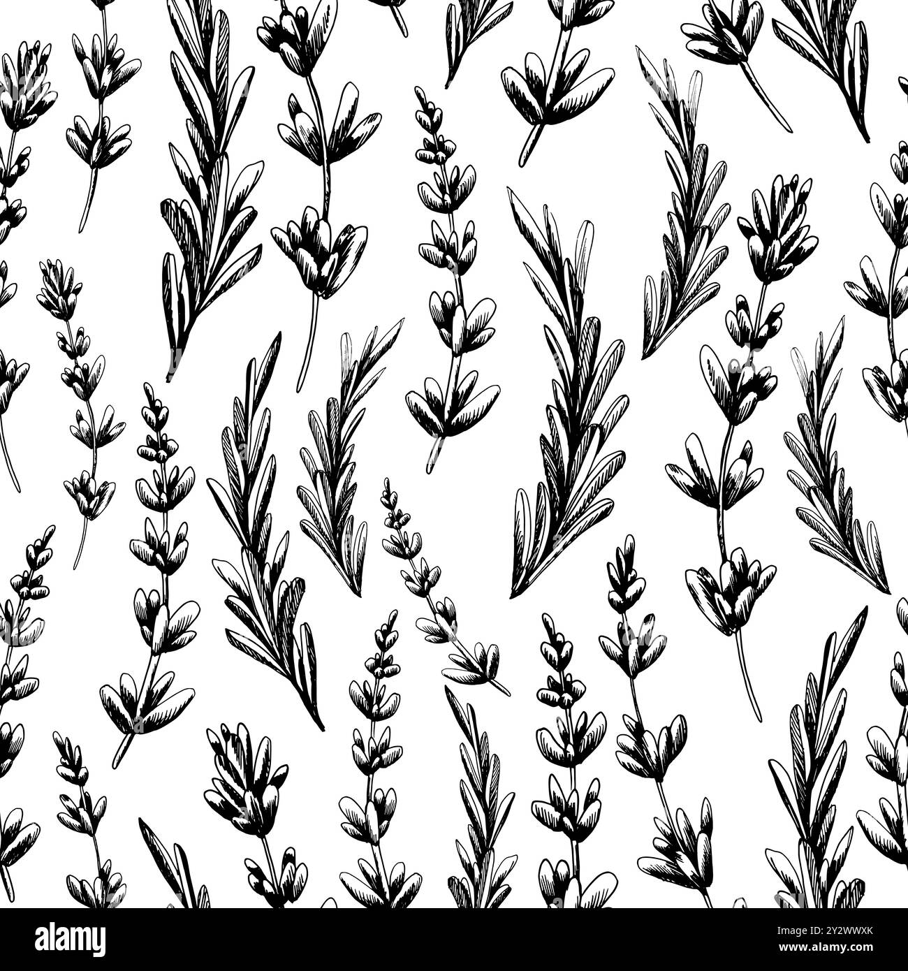 Fiori e foglie di lavanda, ramoscelli. Illustrazione disegnata a mano con grafica grafica in inchiostro bianco e nero. Motivo senza cuciture Illustrazione Vettoriale