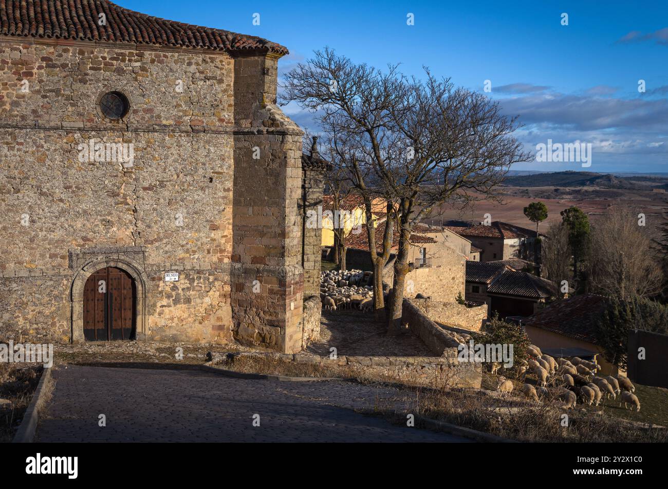 Un gregge di pecore che pascolano vicino alla Chiesa della Santissima Trinità, Atienza, Guadalajara, Spagna Foto Stock