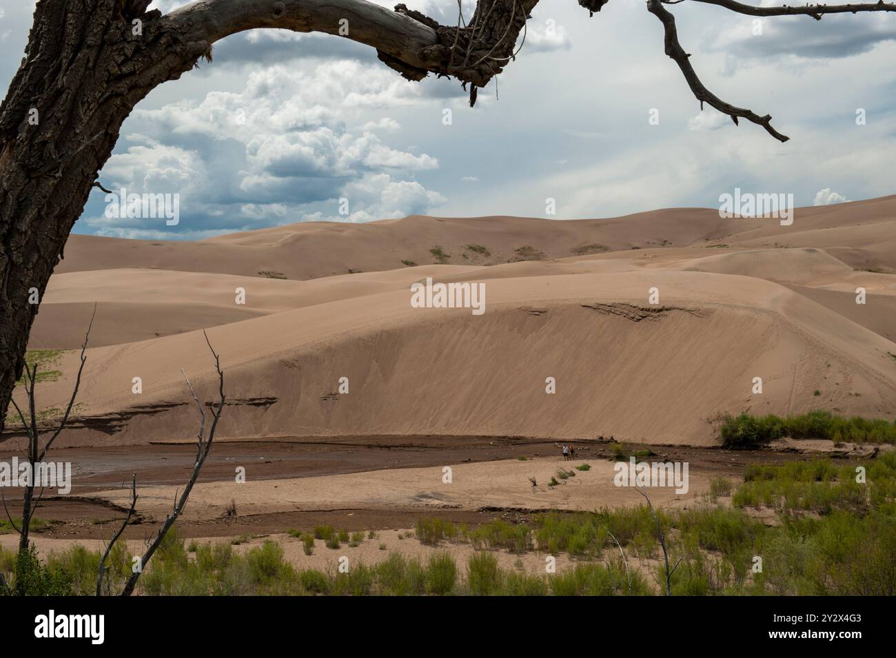 Un paio di escursionisti nel Great Sand Dunes National Park vicino ad Alamosa, Colorado Foto Stock