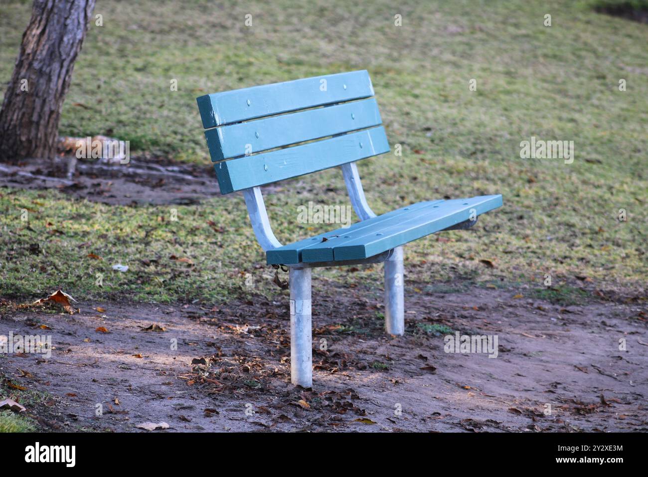 panchina verde vicino a alberi ed erba Foto Stock