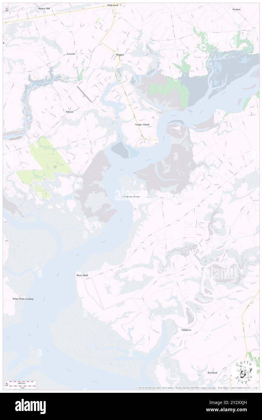 Wadmalaw Island, Charleston County, Stati Uniti, Carolina del Sud, N 32 40' 15''', S 80 14' 4''', MAP, Cartascapes Map pubblicata nel 2024. Esplora Cartascapes, una mappa che rivela i diversi paesaggi, culture ed ecosistemi della Terra. Viaggia attraverso il tempo e lo spazio, scoprendo l'interconnessione del passato, del presente e del futuro del nostro pianeta. Foto Stock